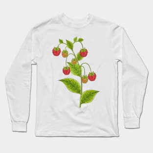 Raspberry Art Long Sleeve T-Shirt